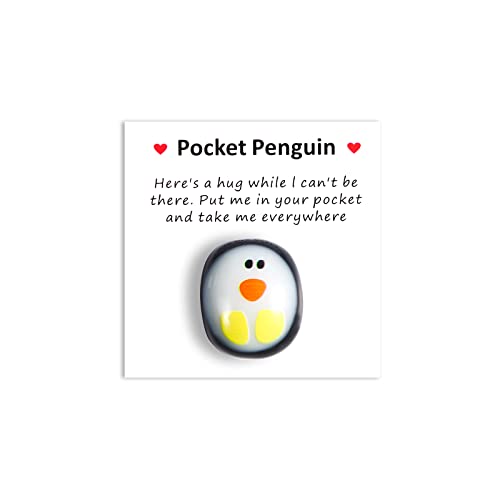 TOYMIS Pocket Penguin Hug, Niedlich Glas Eine Kleine Taschen Pinguin Umarmung mit Ermutigend Grußkarte Mini Pinguin Spielzeug Dekoration Ermutigende Geschenke (Stil 1)