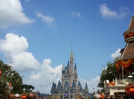 Disney Land