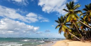 Strand mit Palmen in der Dominikanischen Republik