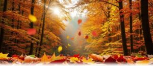 november022521